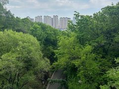-北山公园