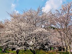 -苏州上方山国家森林公园