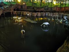 -河源客天下-温泉小镇
