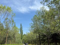 -青藏高原野生动物园