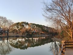 -新江湾城公园