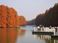 -上海海湾国家森林公园