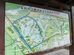 -盐城丹顶鹤湿地生态旅游区