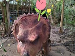 -呀路古热带植物园