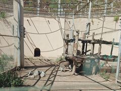 -大青山野生动物园
