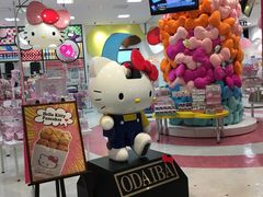 -台场海滨公园船码头