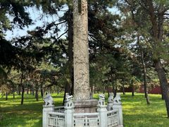 -北陵公园