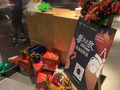 -威尔仕健身(丁香国际店)
