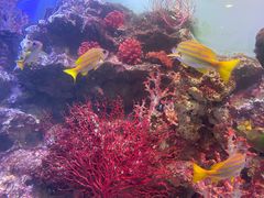 -海合安青岛极地海洋公园
