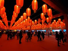 -葫芦古镇关东民俗雪乡