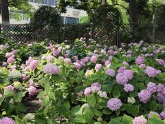 -常州古运河南大街文化旅游区-人民公园