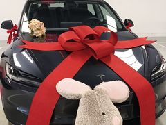 -TESLA 特斯拉(广州天环广场体验店)