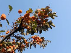 -天津盘山风景名胜区