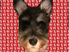 -喔爸韩国料理(环球银泰城店)