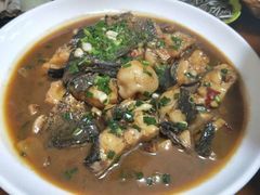 -全乐鱼馆·淳牌有机鱼直营店
