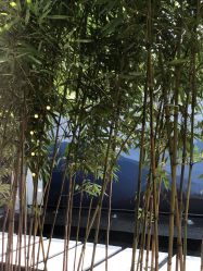 -爱儿美儿童摄影(朝阳公园店)