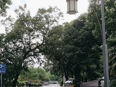 -敬亭山风景名胜区