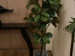 -天下春花园酒店(大东店)
