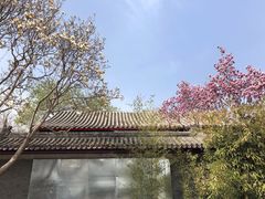 -北京石刻艺术博物馆(五塔寺)