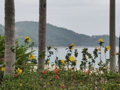 -小梅沙海滨乐园