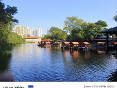 -侨美·唐荔园·40年地道粤菜