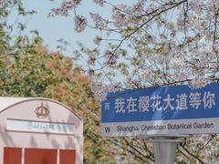 -上海辰山植物园