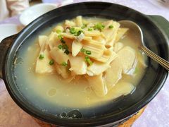 问政贡笋-披云山庄