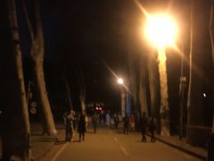-武汉大学-樱园