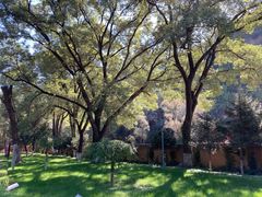 -延安杨家岭革命旧址