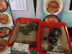 -龙海鲜螃蟹王(宏茂桥店)