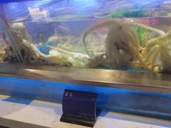 -V-ONE西雅图海鲜自助餐厅(仓山万达广场店)