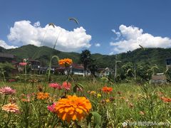 -将军关探险漂流