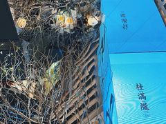 -桂满陇·海市蜃楼·黑金(国金店)