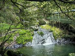 -夏霖九天银瀑风景区