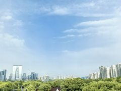 -苏州金鸡湖文博诺富特酒店