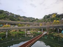 -福道