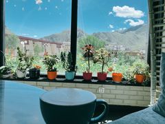 -玫瑰西餐厅.意面披萨.牛排咖啡