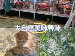 -虾王农家乐(鼎湖店)
