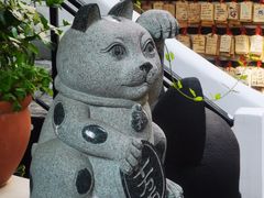 -猫岛主趣味餐厅(鼓浪屿店)