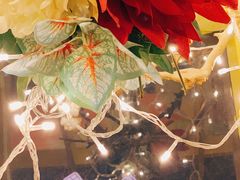 -佐佑帐篷环游记(南锣鼓巷店)