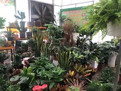 -秦美花卉(天朗·莱茵小城2期店)