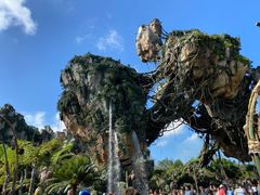 -奥兰多迪士尼动物王国乐园