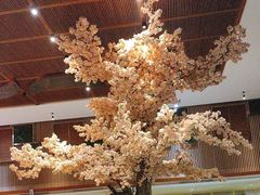 -卡拉卡拉漫温泉汗蒸