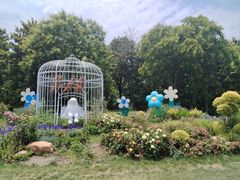 -上海共青森林公园