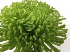 -杭州植物园