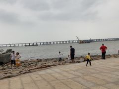 -宝安西湾红树林湿地公园