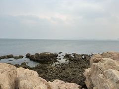 -养马岛旅游度假区