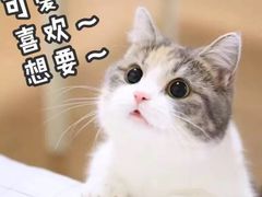 -渝信川菜(工体店)