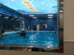 -蓝鲸奇亲子游泳俱乐部