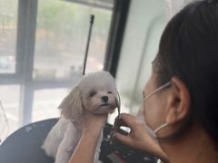 -久久宠物(河东万达店)